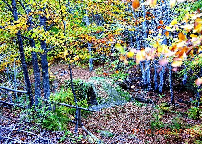 Xenios Zeus Guest house Stavroupoli